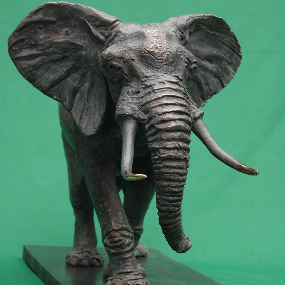 bronze elephant sculpturerobin bronze facing left